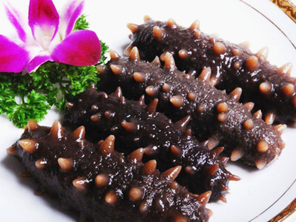 你吃的海参是哪一种？海内海参最全面的养殖方法介绍